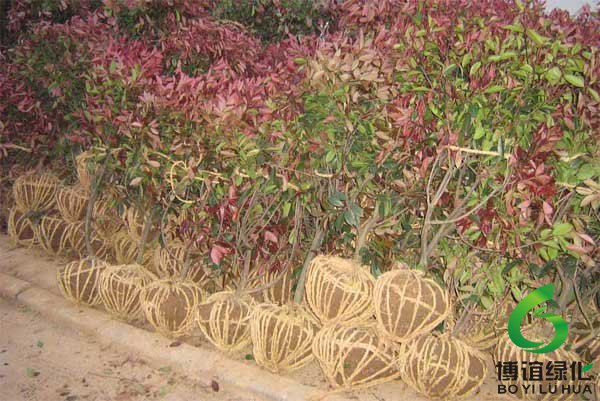 ���b�õļt�~ʯ骵ȴ��\ݔ