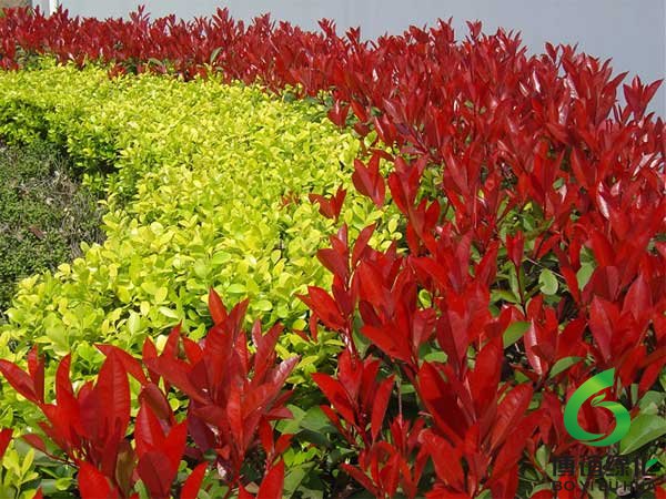 �t�~ʯ骾��^