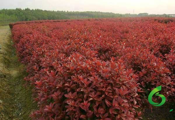 �t�~ʯ骻���