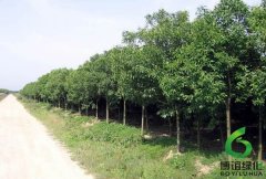 ߗUŮؑ,ʩߗUŮؑ,ʩߗUŮؑr